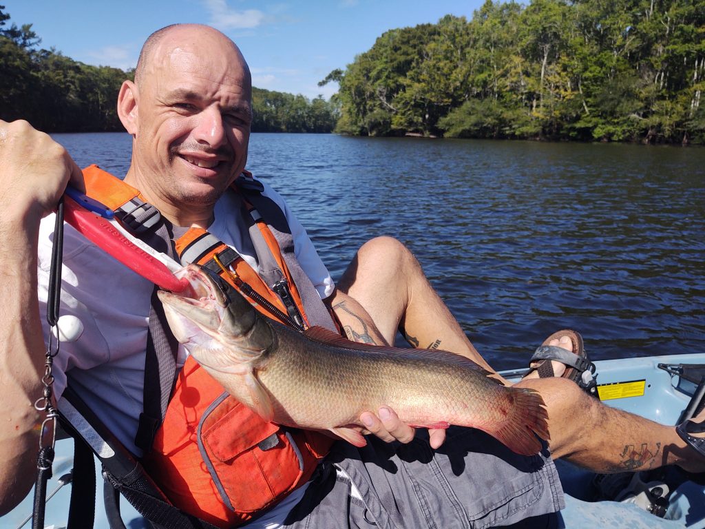 Angler with kayak caught bowfin